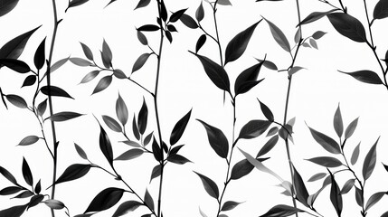 Wall Mural - Minimalist black and white patterns, clean leaves, delicate textured, contemporary style, luxurious and sophisticated atmosphere.