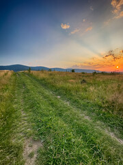 Wall Mural - Wonderful landscape view on the Carpathian Mountains during the sunset in the summer season 