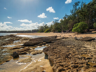 A sunny day at the Oahu turtle beach bay with nature sand and rough lava rock north shore coastline