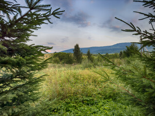 Wall Mural - Wonderful landscape view on the Carpathian Mountains during the sunset in the summer season 