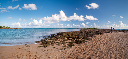 A sunny day at the Oahu turtle beach bay with nature sand and rough lava rock north shore coastline