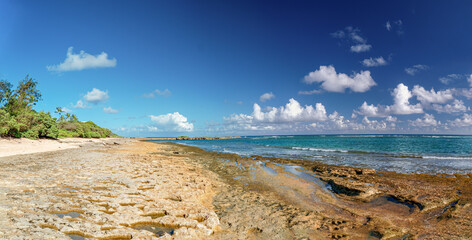 A sunny day at the Oahu turtle beach bay with nature sand and rough lava rock north shore coastline