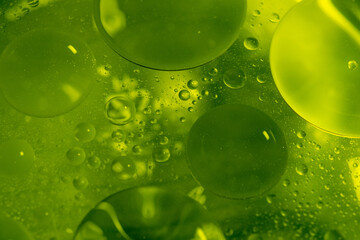 Close-Up of Green Oil Bubbles. A captivating close-up shot of vibrant green oil bubbles suspended in water, showcasing the mesmerizing interaction between the two liquids.