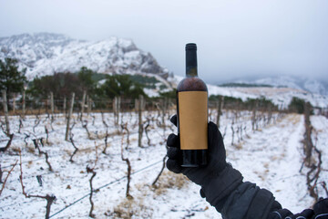 Wall Mural - Wine in the snow