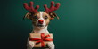 © Vasiliy - A dog dressed as a reindeer with a red nose and antlers holds a wrapped gift. Cheerful Happy New Year visual with copy space