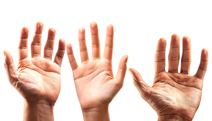 Close-up view of three diverse hands showing various skin tones and textures, symbolizing diversity and human connection.