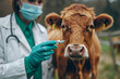 © K2Kstock - Veterinarian in gloves holding syringe for livestock vaccination