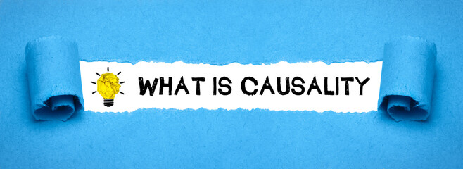 Poster - What is Causality	