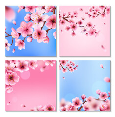 Wall Mural - Realistic sakura tree illustration set collection with cherry blossom