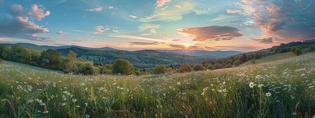 Beautiful spring landscape with a meadow full of wild flowers, daisies, and grass in the foreground, forest on hills at the background and a beautiful sky with clouds at sunset. 