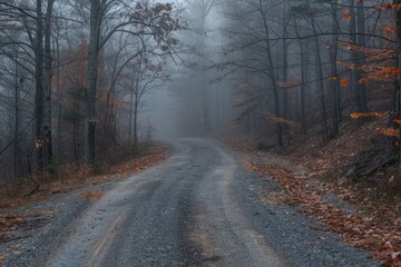 Canvas Print - a road with a lot of leaves on the ground. the leaves are brown and scattered all over the road