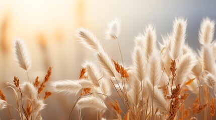 A field of tall grass with a few brown leaves scattered throughout