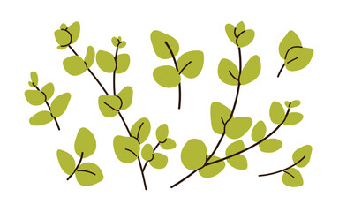 Poster - Green leaf branches, plants set. Leaves, twigs, sprigs, organic greenery, natural foliage. Eco delicate botanical design elements, decorations. Flat vector illustration isolated on white background