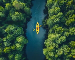 Poster - Aerial View of Kayaker Navigating Winding River Through Lush Forest Landscape