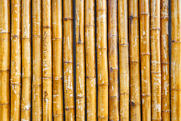 bamboo wall, uniform background