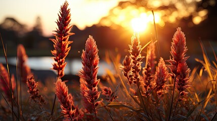 Canvas Print - fire in the grass