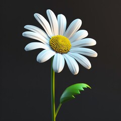 Wall Mural - A single white flower with a yellow center on a black background