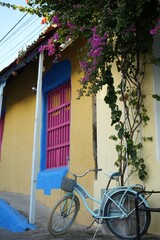 bicycle in the street