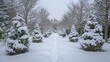 © FryArt - Snow-covered evergreen shrubs and fir trees in winter landscape pathway