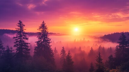 Wall Mural - A stunning sunrise illuminates a dense forest, casting vibrant colors across the sky while morning mist lingers among the trees