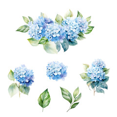 Watercolor set of blue hydrangea bouquet