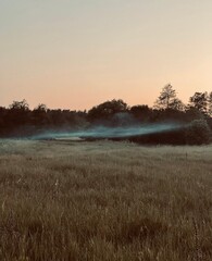  mist on the river