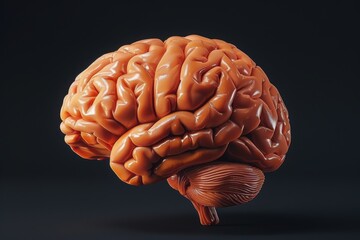 Detailed and Realistic 3D Rendering of a Human Brain Showcasing Intricate Anatomy and Neural Pathways Against a Dark Background