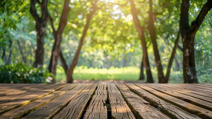 Poster - Wooden Plank Pathway in a Lush Forest