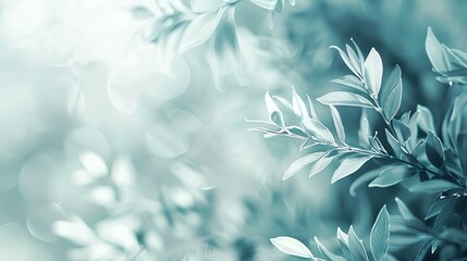 a green plant with leaves on it's branches and a blurry background