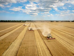 Sticker - Bird’s view of the three combines harvesting the field of wheat