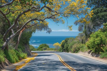 a road with trees and the ocean in the background, scenic summer road trip through a tunnel of blooming trees leading to the beach with clear blue skies overhead