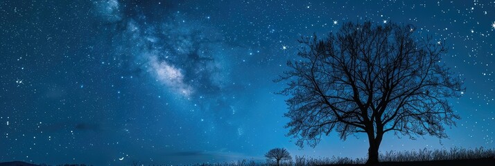 Poster - Starry Night Sky with Moon