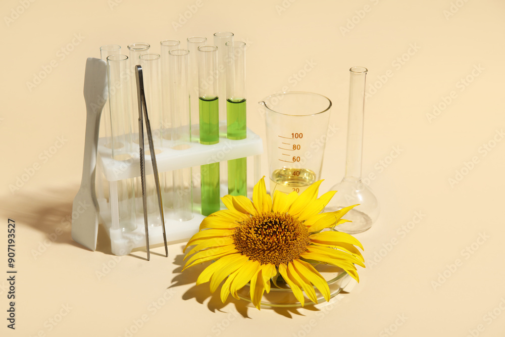 Professional laboratory glassware with samples, sunflower and oil on beige background