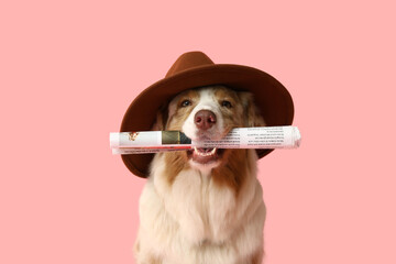 Poster - Cute Australian Shepherd dog in hat with newspaper on pink background