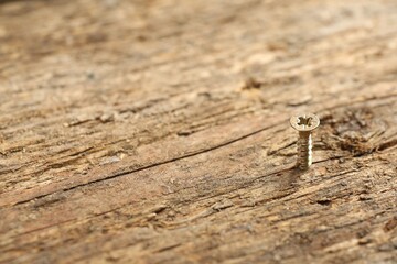 Sticker - Screw in wooden plank and sawdust, closeup. Space for text