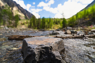 Stone in the creek 