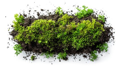 Sticker - A pile of dirt surrounded by some green plants, perfect for environmental or nature-themed projects