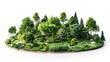 © Kin no Hikari - A vibrant miniature forest landscape showcasing diverse trees, lush foliage, and a serene nature scene.