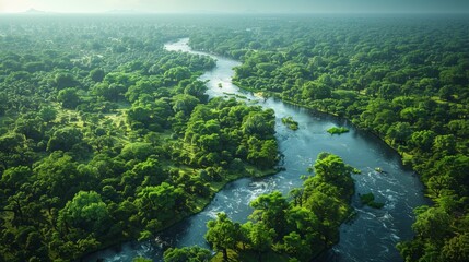 Wall Mural - lush green forest surrounds winding river in early morning light overlooking serene landscape. gener