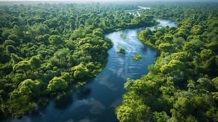 Wall Mural - aerial view of serpentine river surrounded by lush green forest in morning light. generative ai