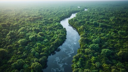 Wall Mural - aerial view of lush green forest and serene river flowing through it at dawn. generative ai