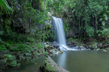 Poster - rainforest waterfall