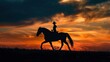 © PalaG - Tranquil Sunset Ride - Silhouette of a Person Horseback Riding in the Evening Glow