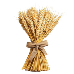 Wall Mural - A bundle of golden wheat tied with a rustic ribbon on transparent background