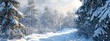 © Imron - snowy winter for banner