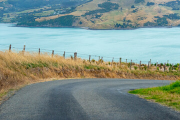 Wall Mural - Lighthouse Road in Akaroa - New Zealand