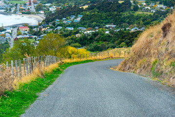 Wall Mural - Lighthouse Road in Akaroa - New Zealand