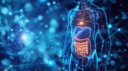 anatomy of human body with digestive system,human body internal organs anatomy,human digestive syste