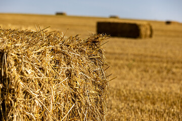 Poster - A close up of a straw bale in the Sussex countryside, with a shallow depth of field