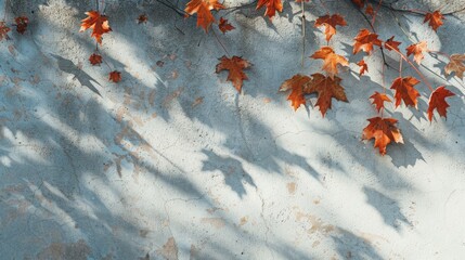 Wall Mural - maple tree leaves casting shadow on wall in abstract autumn scene